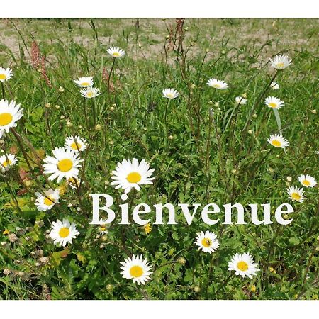 Charming Traditional 2-Bed Cottage Near Plémet Exteriör bild