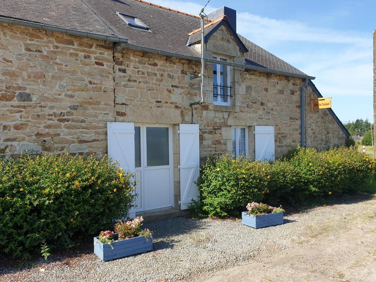 Charming Traditional 2-Bed Cottage Near Plémet Exteriör bild