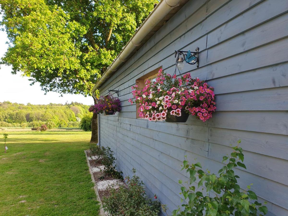 Charming Traditional 2-Bed Cottage Near Plémet Exteriör bild